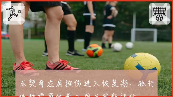 东契奇左肩挫伤进入恢复期，独行侠称需再休养三周后重新评估