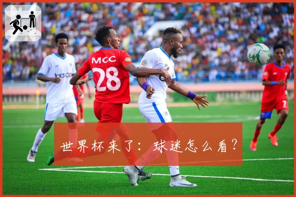 世界杯来了：球迷怎么看？