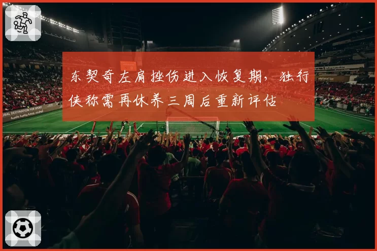 东契奇左肩挫伤进入恢复期,独行侠称需再休养三周后重新评估