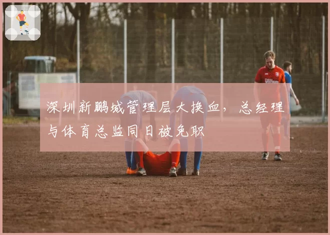 深圳新鹏城管理层大换血，总经理与体育总监同日被免职