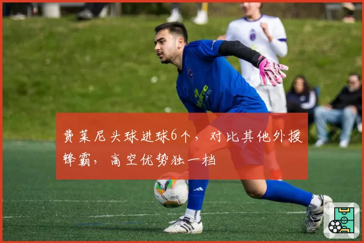 费莱尼头球进球6个,对比其他外援锋霸,高空优势独一档