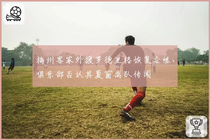 梅州客家外援罗德里格恢复合练，俱乐部否认其夏窗离队传闻