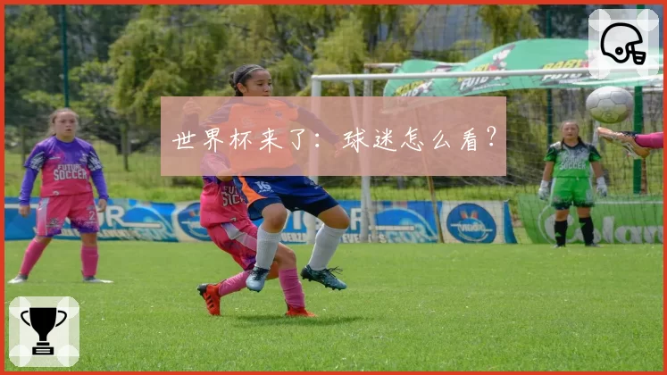 世界杯来了：球迷怎么看？