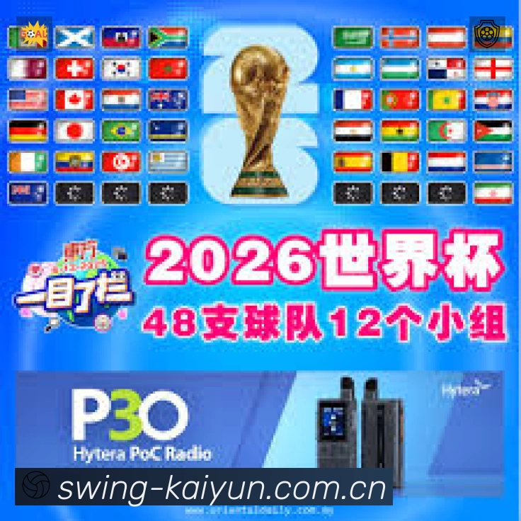 开云站内搜索增强